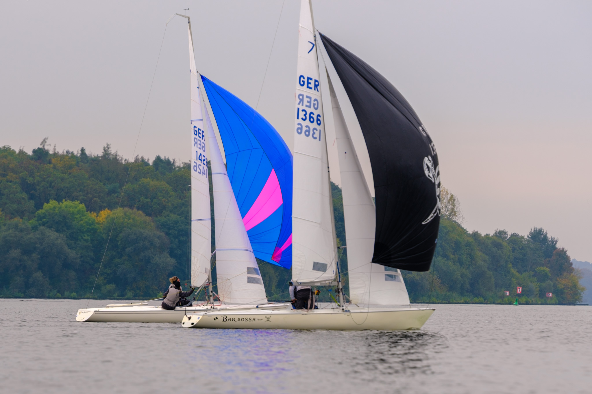 Zwei Dyas mit blau-pinkem und schwarzem Spinnaker auf Vorwindkurs vor bewaldetem Ufer bei der Berliner Meisterschaft